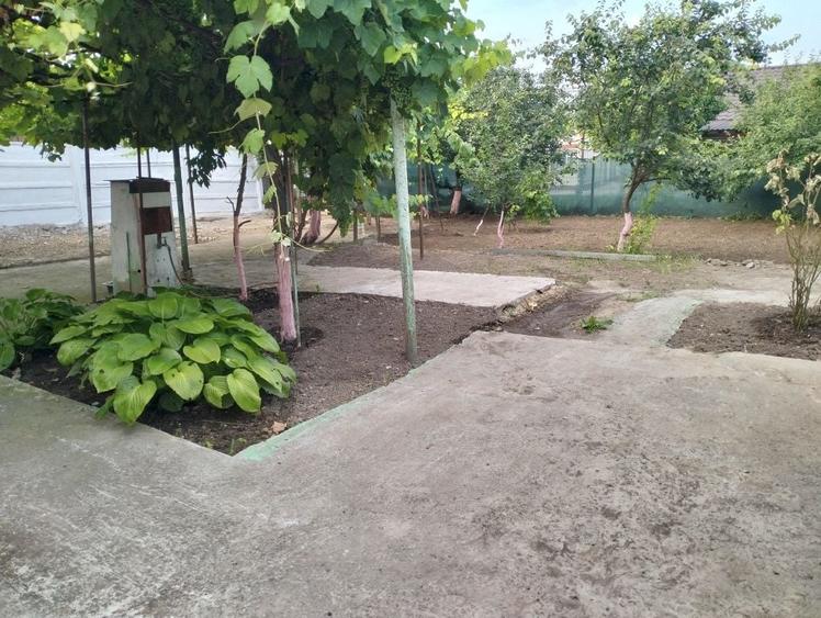 Casă cu 2 camere în Lumina