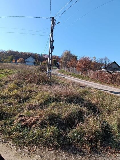 Teren agricol extravilan de 4000 mp, în Dragomirna