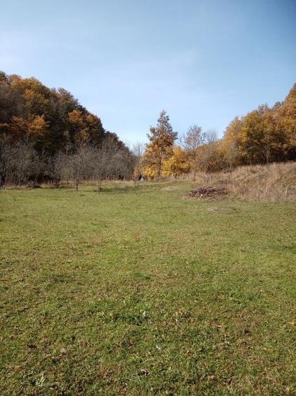 Casă cu 2 camere în Valea