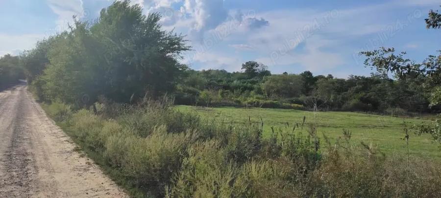 Teren de 3500 mp, în Ciurea