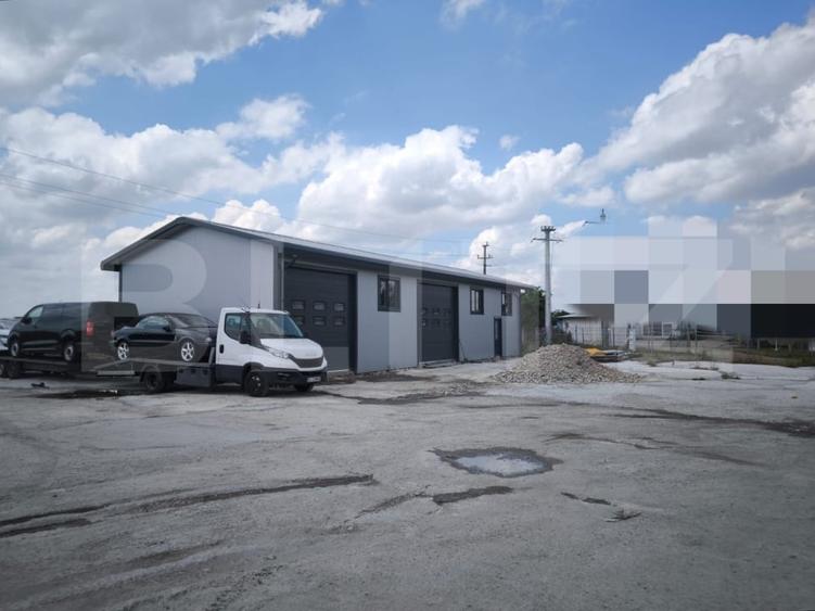 Teren industrial  5000 mp cu 2 hale 400 mp, in Isalnita, cu deschidere la E79 - 6
