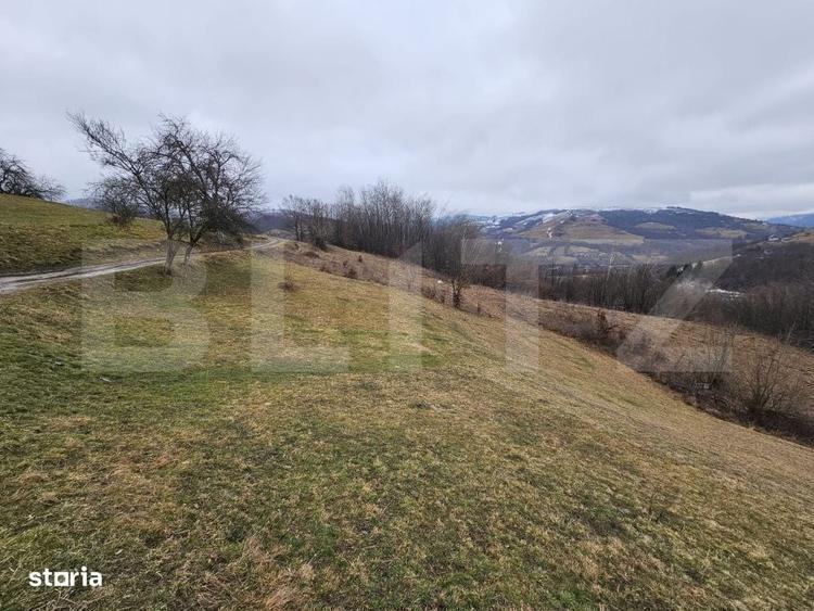 Spațiu comercial, în Abrud-Sat