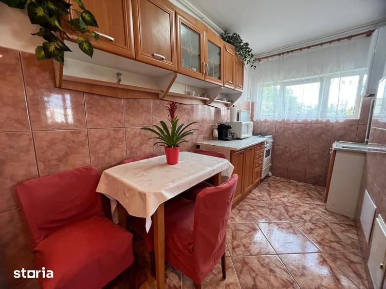 CC/933 De inchiriat apartament cu 2 camere in Tg Mure? - Dambu Pietros - 4