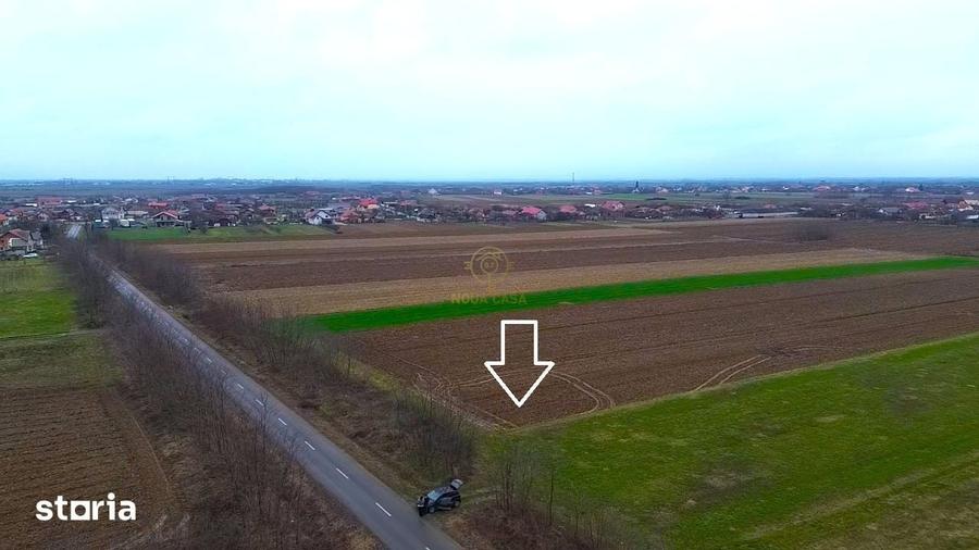 Teren de 4300 mp, în Odoreu