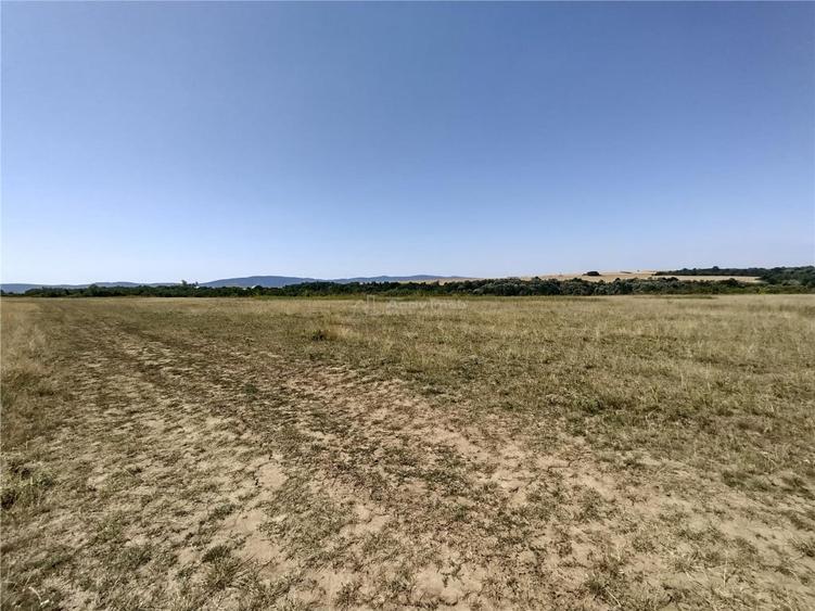 Teren de 14500 mp, în Nicolinț