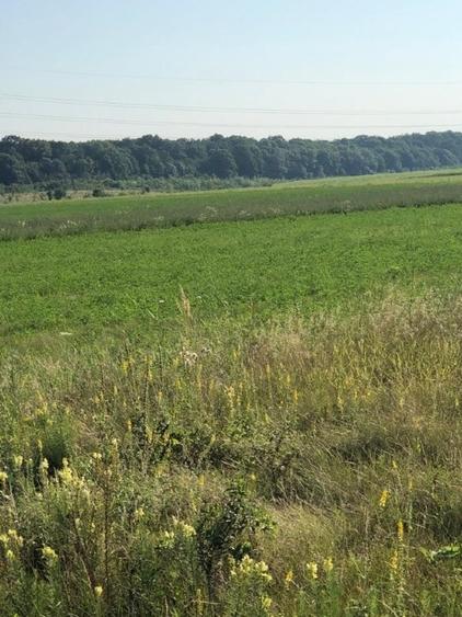Teren agricol intravilan de 2475 mp, în Periș