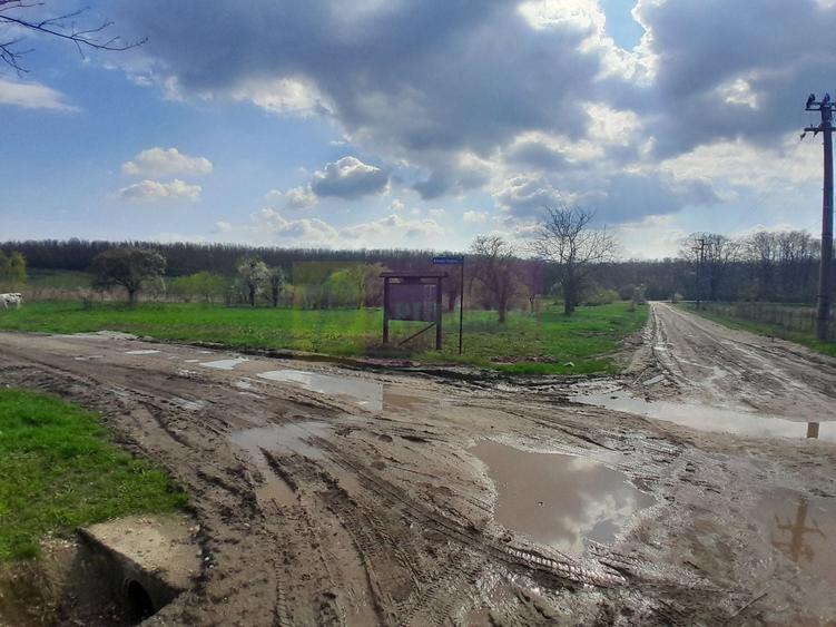 Teren Construcții intravilan de 3400 mp, în Buturugeni