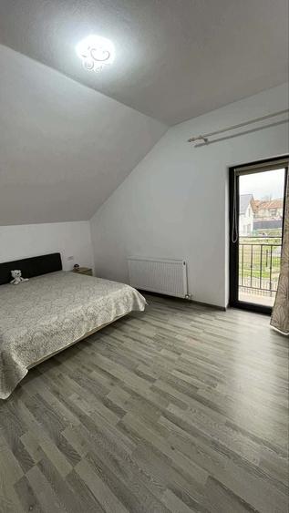 Casă cu 3 camere în Copăcelu