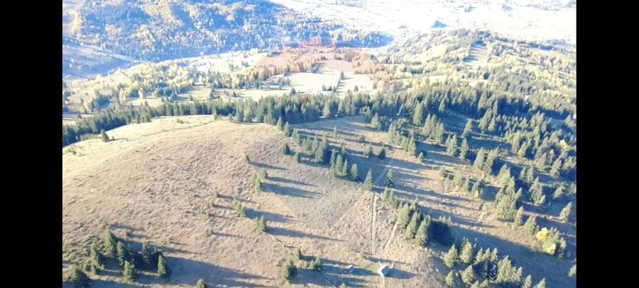 Teren extravilan de 47732 mp, în Panaci