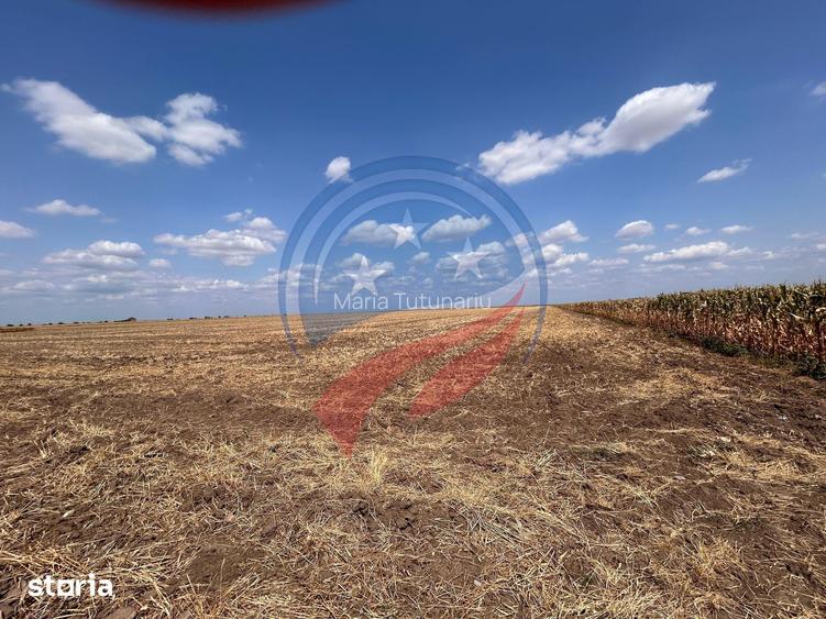 Teren intravilan de vanzare in Pielesti