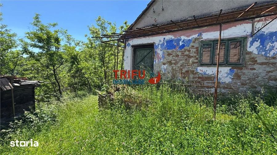Casă cu 2 camere cu Teren 1493 Mp în Vințu de Jos