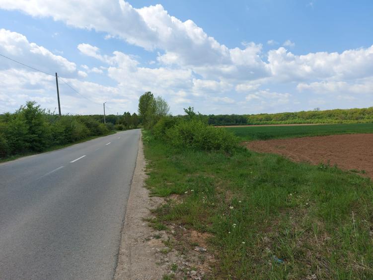 Teren Construcții intravilan de 35000 mp, în Bălteni