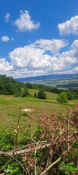 Teren de 3690 mp, în Șuncuiuș