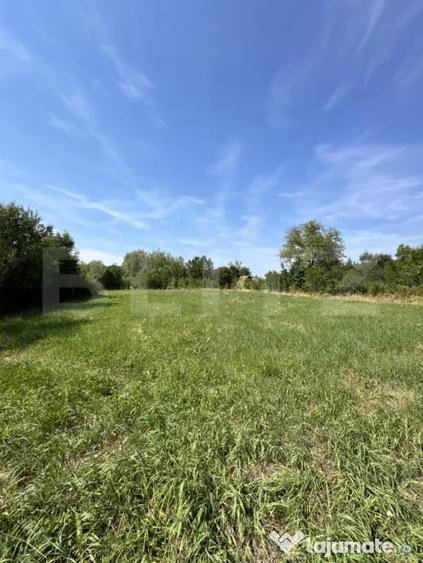 Proprietate superba in Damieni! cu potential enorm comercia - Damieni (Mures) - 8