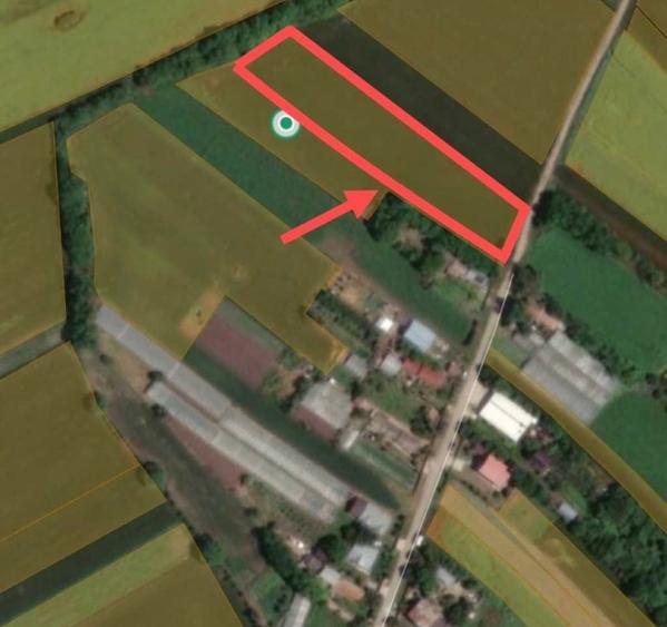 Teren Construcții intravilan de 3700 mp, în Balta Doamnei