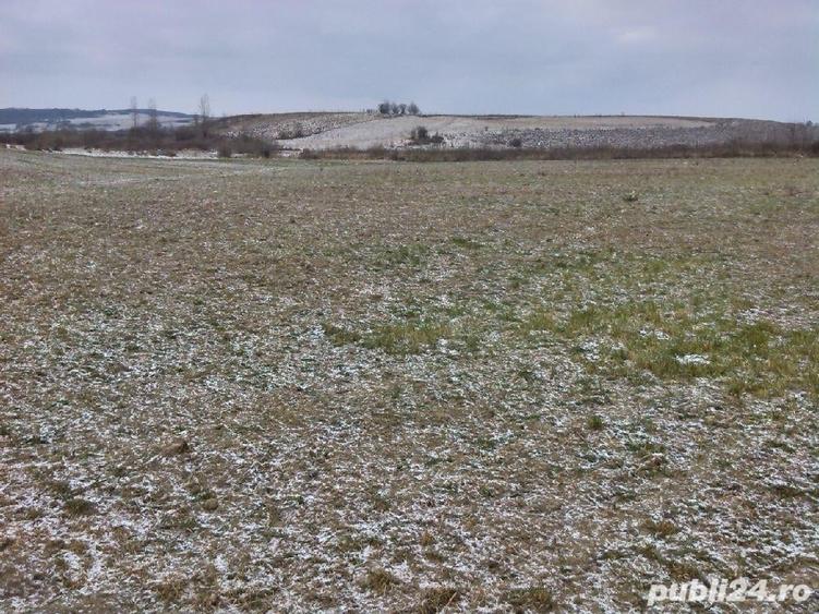 Teren de 5450 mp, în Vânători