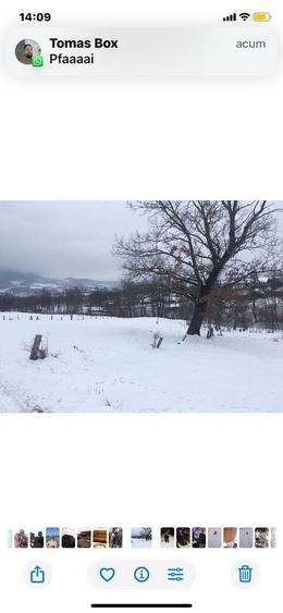 Teren de 720 mp, în Șieu