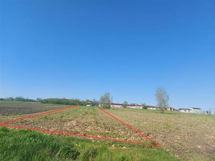 Teren Construcții intravilan de 4367 mp, în Hidișelu de Sus