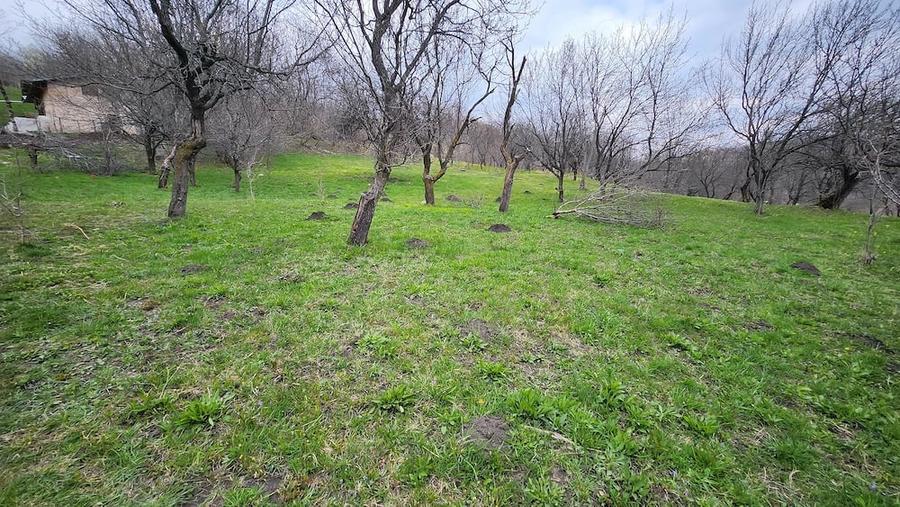 Teren de 4400 mp, în Vatra Satului