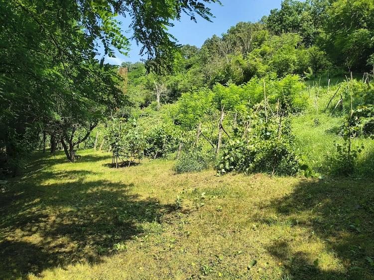 Teren de 5600 mp, în Valea Budului