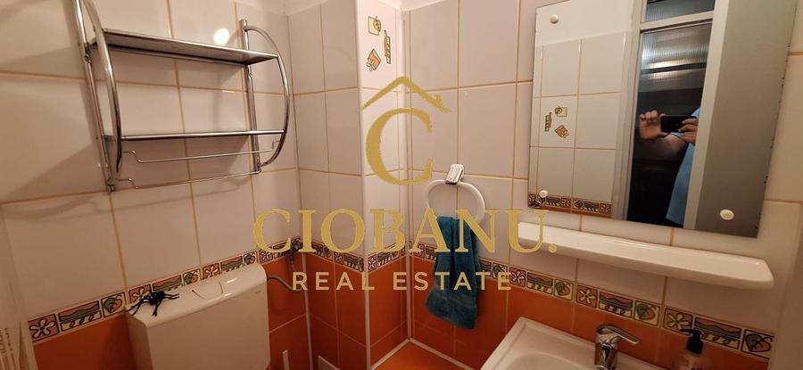 Apartament 3 camere DECOMANDAT etaj 2/4 de vanzare zona Lapus Arges - 10