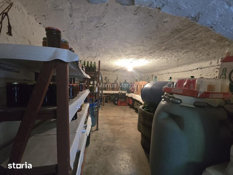 Casa interbelica, 606 mp curte cu vie, ultracentral Alba Iulia