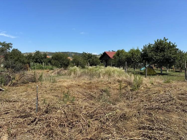 Casă cu 3 camere în Central