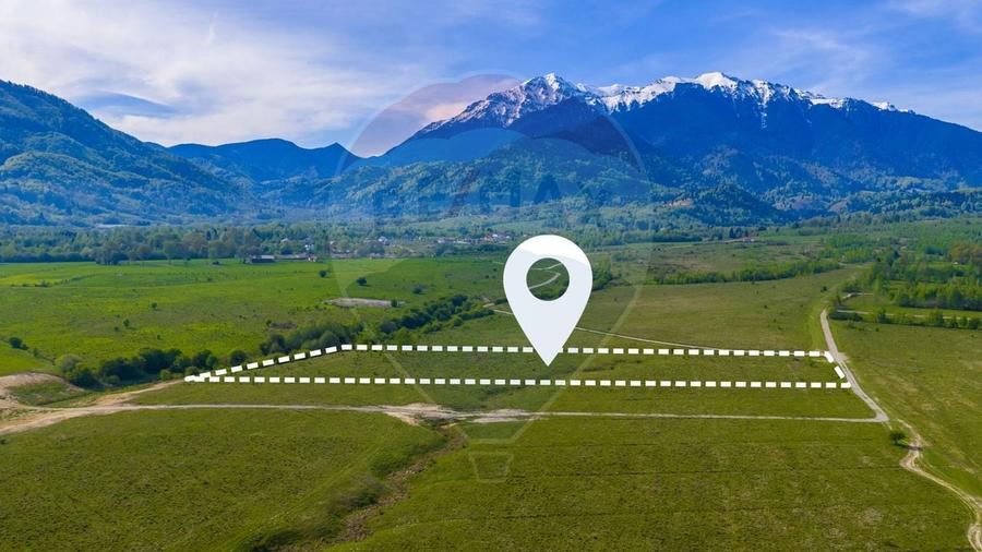 Teren agricol extravilan de 13800 mp, în Glăjărie