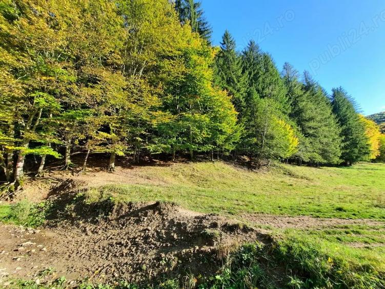 Teren de 7160 mp, în Alexandru cel Bun
