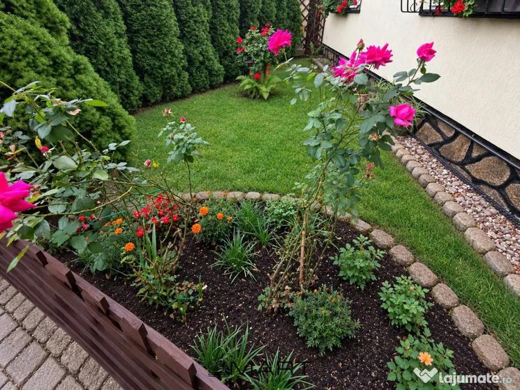 Casă cu 3 camere cu Teren 200 Mp în Sub Arini
