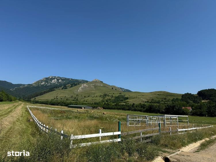 Teren de 9000 mp, în Fărău