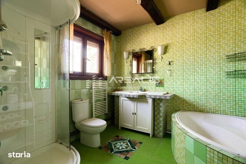 Casă cu 4 camere cu Teren 1370 Mp în Bodrogu Nou