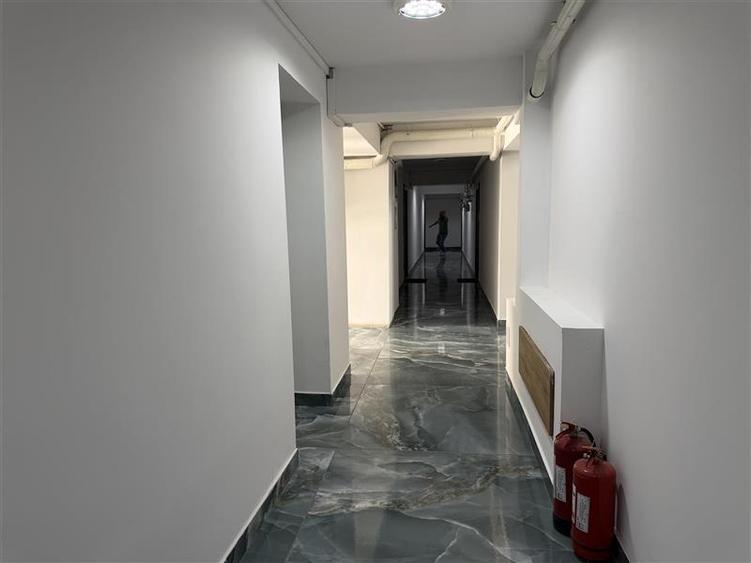 2 Camere dec Theodor Pallady - 8