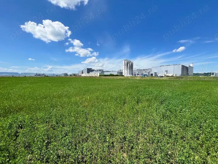 Teren extravilan 21.900 mp Parcul Industrial Reiff, Campia Turzii - 7