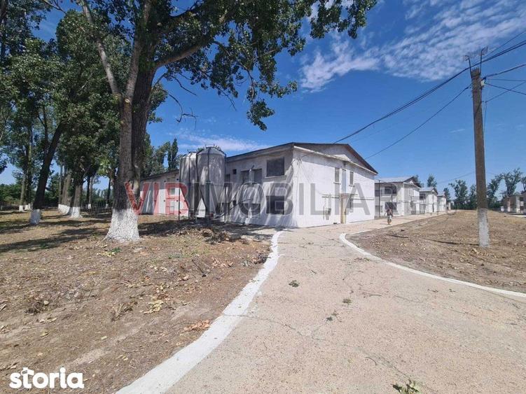 Teren de 35000 mp, în Funcționarilor