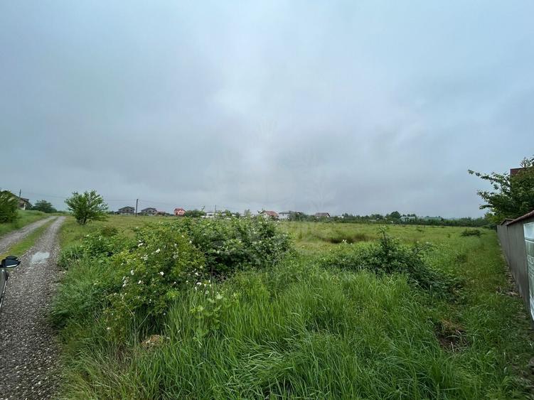 Teren Construcții intravilan de 9928 mp, în Păulești