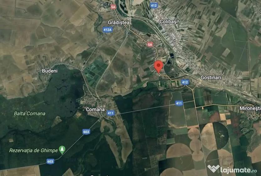 Teren în Comana