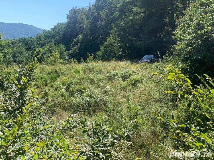 Teren de 10000 mp, în Alexandru cel Bun