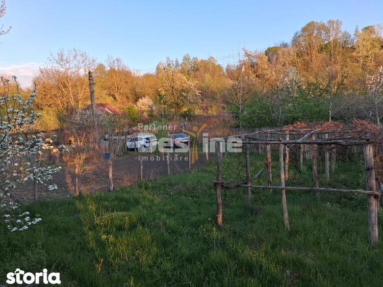 Casa batraneasca cu teren 1150 mp, vie si livada ?erbanesti, Paus - 6