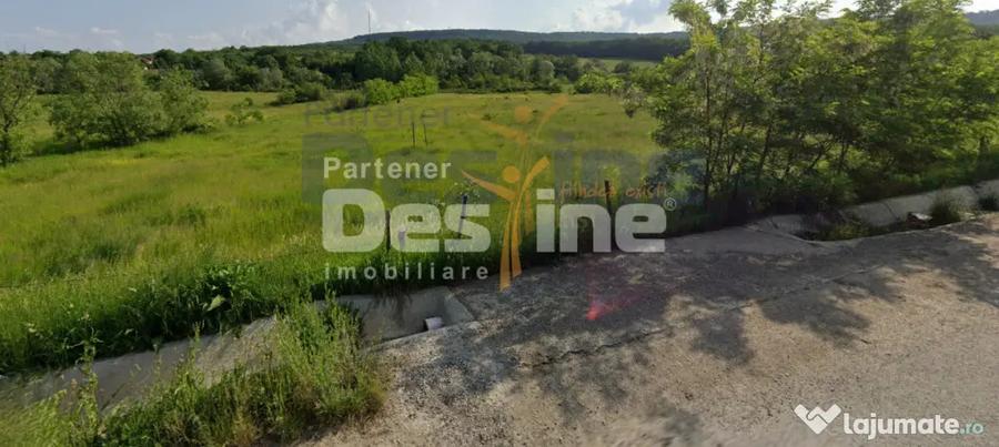 Teren de 8000 mp, în Central