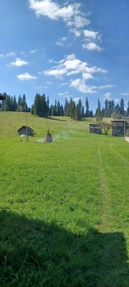 Teren de 28307 mp, în Coșna