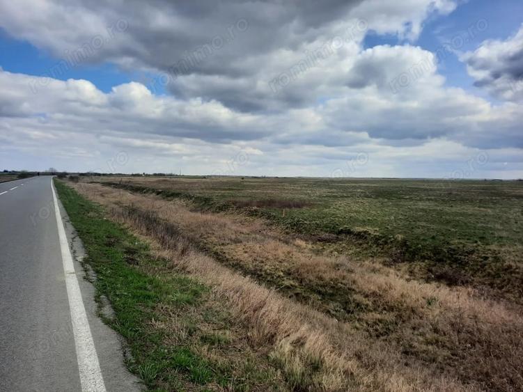 Teren de 13000 mp, în Sânmihaiu Român