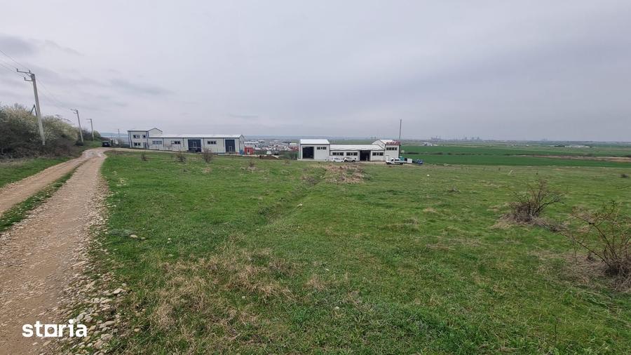 Teren de 8500 mp, în Albota