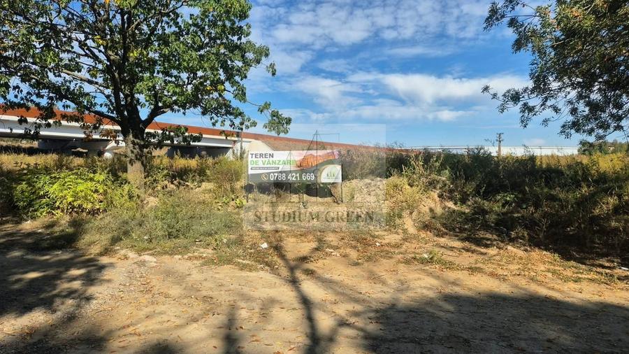 Teren Construcții intravilan de 12828 mp, în Cernica