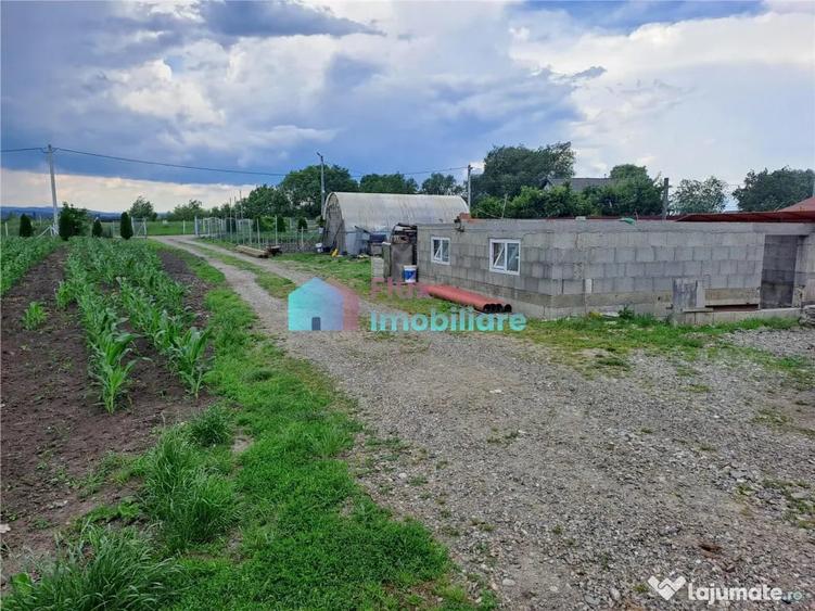 Casă cu 6 camere cu Teren 10000 Mp în Fântâna Mare