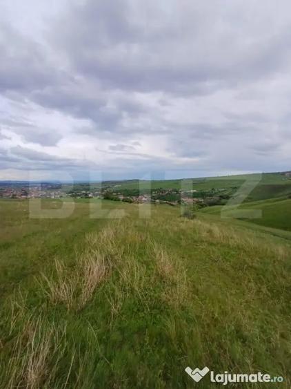 Teren de 1249 mp, în Copăceni