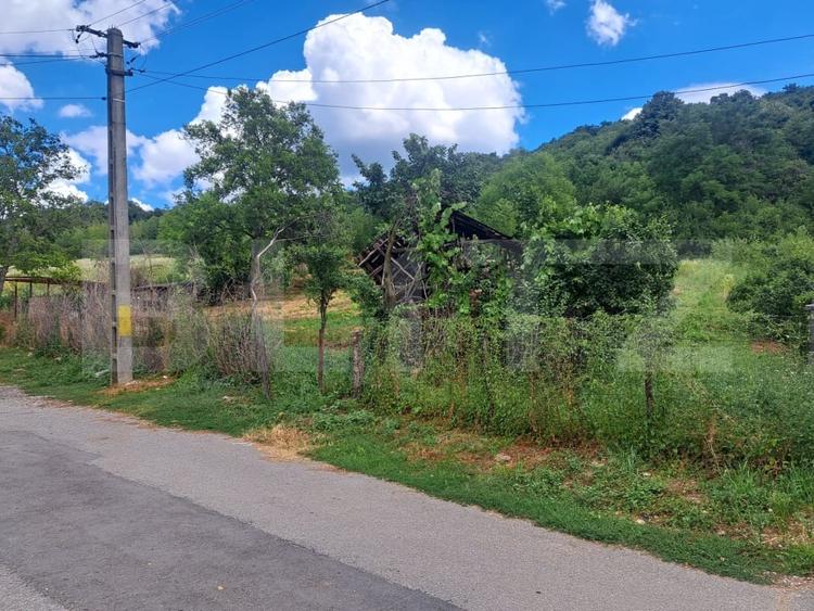 Teren Construcții intravilan de 3484 mp, în Viforâta