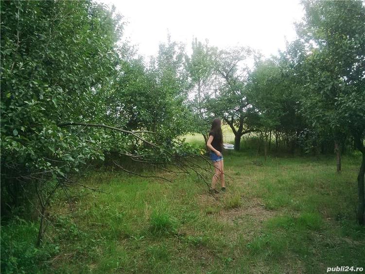 Teren de 7050 mp, în Albota