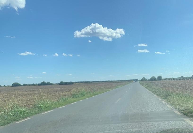 Teren agricol intravilan de 4000 mp, în Dimieni