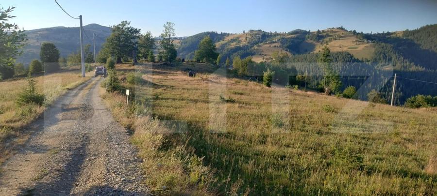 Teren Construcții intravilan de 3065 mp, în Gârda de Sus